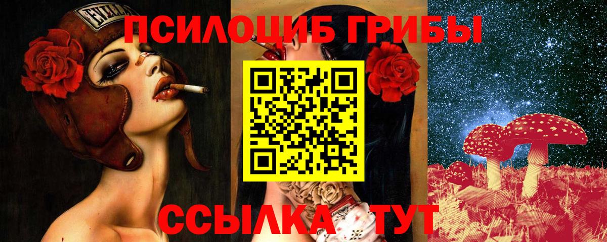 Галлюциногенные грибы прущие грибы Кострома